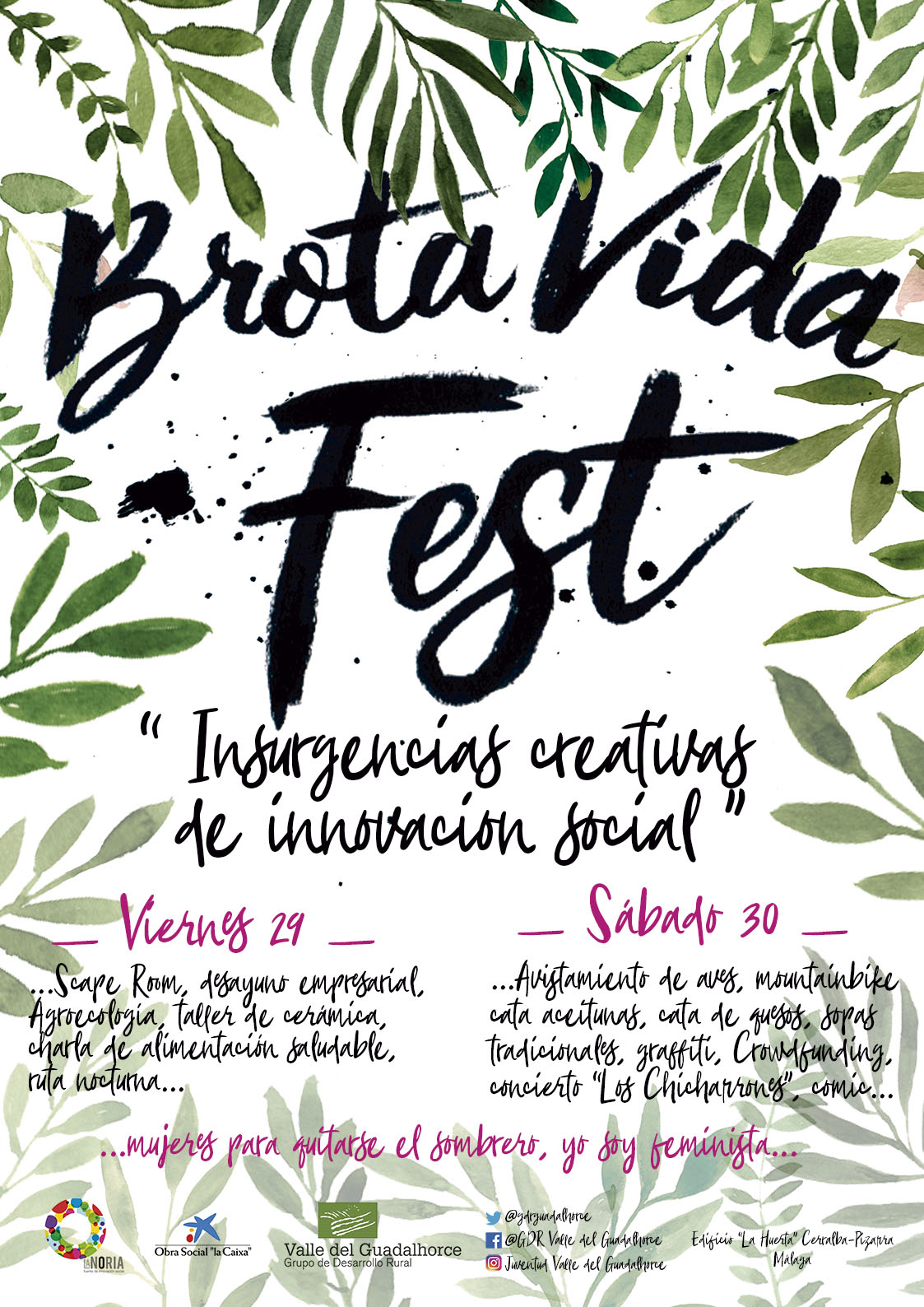 BROTA VIDA FEST!